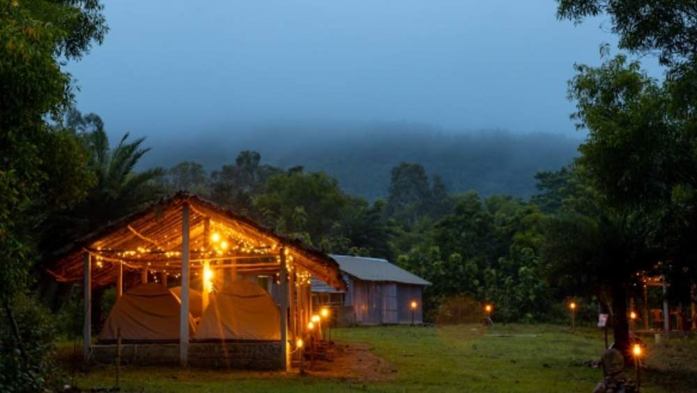 ঝিঙ্কপাহাড়ি ব্যাকপ্য়াকার্স ক্যাম্প: আপনি কি অ্যাডভেঞ্চার-প্রিয়? ঝর্না, নদী, জঙ্গলে ক্যাম্পিং কি আপনার পছন্দের তালিকায়? তা হলে একছুটে পৌঁছে যান ওড়িশার সিমলিপাল ফরেস্টের এক ‘নাম না জানা’ গ্রামে। ব্যাকপ্যাকার্স ক্যাম্পের ঝিঙ্কপাহাড়িতে একপাল হাতির দেখা পেলেও অবাক হওয়ার কিছু নেই। কলকাতা থেকে ঝিঙ্কপাহাড়ি ক্যাম্পের দূরত্ব প্রায় ২২৮ কিলোমিটার। এখানে থাকা, খাওয়া ও ক্য়াম্প ফায়ার মিলিয়ে মাথাপিছু খরচ ১১০০ থেকে ১৩০০ টাকা। ছবি ও তথ্য সৌজন্যে: ইজিফিসো ব্যাকপ্যাকার্স। 