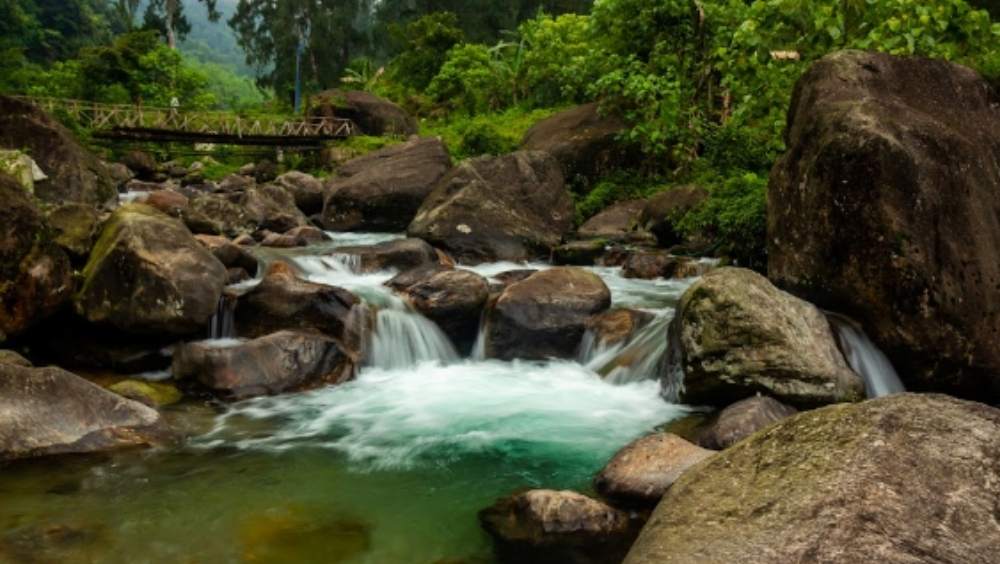 রঙ্গো ক্যাম্প: সবুজে মোড়া পাহাড়, তার বুক চিরে বয়ে চলেছে নদী। সেই নদীর উপরে সরু বাঁশের সাঁকো। ঠিক যেন ছোটবেলায় আঁকা ছবি। কালিম্পংয়ের এক ছোট্ট গ্রামেই পেয়ে যাবেন সেই কল্পনার জগতের বাস্তব রূপ। গ্রামের নাম রঙ্গো। সেখানেই হোমস্টে। পাহাড়ের কোলে স্নিগ্ধ পরিবেশে একটা দিন কাটাতে আপনার পরবর্তী ঘোরার জায়গাটি হতেই পারে রঙ্গো। কলকাতা থেকে এখানকার দূরত্ব প্রায় ৬৭৬ কিলোমিটার। শিলিগুড়ি থেকে দূরত্ব প্রায় ১০৭ কিলোমিটার। এখানে থাকা, খাওয়া নিয়ে মাথাপিছু খরচ পড়বে ১৩০০ টাকা। ছবি ও তথ্য সৌজন্যে: ইজিফিসো ব্যাকপ্যাকার্স 