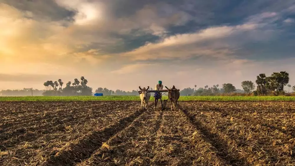 অন্তিমদের পরিবারের পাঁচ একর জমি রয়েছে। সেখানে তাঁর বাবা চাষ করেন। বাবাকে সহযোগিতা করার জন্য মায়ের সঙ্গে সেখানে যেতেন। যাতায়াতের পথে গ্রামের একটি আখড়ায় ছোট ছোট ছেলেমেয়েদের কুস্তি করতে দেখতেন অন্তিম। আর সেখান থেকেই একটু একটু করে কুস্তির প্রতি তাঁর আকর্ষণ জন্ম নেয়।