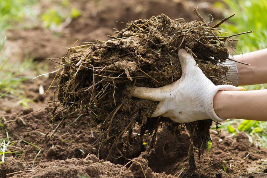 গণেশনের নিজের কথায়, ‘‘কৃষিজমির জন্য যতটা প্রয়োজন, তার থেকে অনেক বেশি গোবর জমে যায়। একে নষ্ট না করে বিকল্প কী করা যায়, ভাবতে শুরু করি।” অনেক ভেবে  গোবর এবং গোমূত্র ব্যবহার করে মূর্তি তৈরি করা শুরু করেন এই কৃষক।