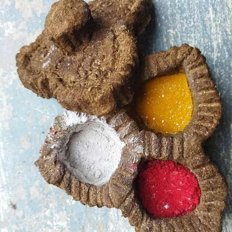 এখন গণেশনের বয়স ৫২ বছর। ৫ বছর আগে খেয়ালের বশে যে কাজ শুরু করেছিলেন, সেটাই এখন তাঁর পেশা। চাষবাস ছাড়েননি। তবে বেশির ভাগ সময় গোবর, গোমূত্র দিয়ে নানা কারুকাজ করে দিন চলে যায়।