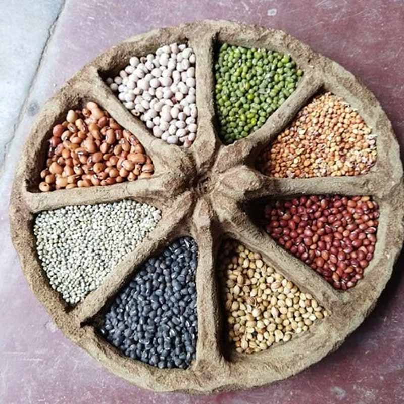 ৫ বছর আগে জৈব চাষ শুরু করে প্রতিবেশীদের অবাক করে দিয়েছিলেন গণেশন। কারণ, তখনও এই চাষ অতটা জনপ্রিয় হয়নি তাঁর এলাকায়। তার পর গোবর-গোমূত্র দিয়ে হরেক জিনিস তৈরি করে সবাইকে কার্যত বিস্মিত করে দিয়েছেন তিনি।