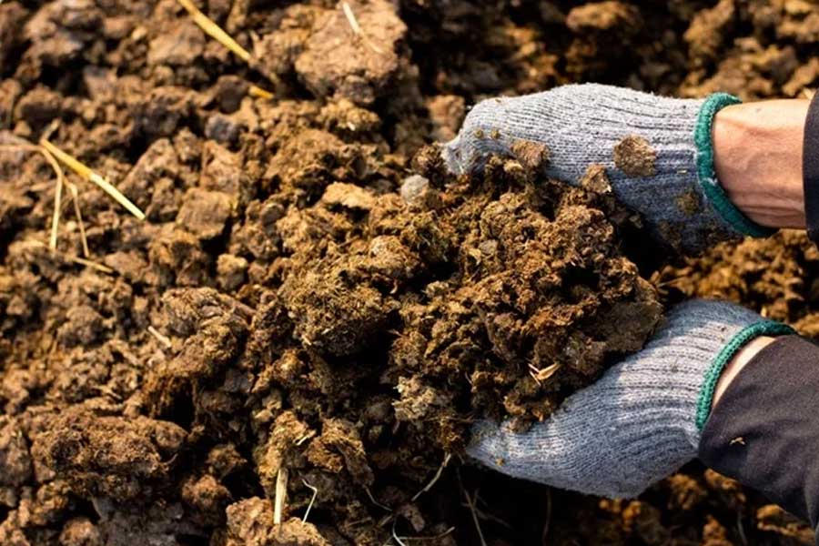 করোনার সময় অনেকের মতো গণেশনের ব্যবসাও ভাল হয়নি। তবে আবার ভাল বিক্রিবাটা হচ্ছে বলে একটি সংবাদমাধ্যমকে জানান তিনি।