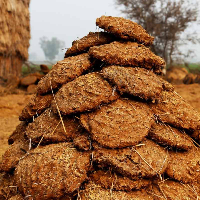 গণেশনের কথায়, ‘‘আমি দেখেছি গোবর রোদে শুকিয়ে গেলে কী ভাবে শক্ত হয়ে যায়। শুকনো গোবর তো ঘুঁটে করে এখনও রান্নায় জ্বালানি হিসাবে ব্যবহার করা হয়। কিন্তু অন্য কাজেও যে একে লাগানো যায় সেটা আমিও আগে কল্পনা করিনি।’’