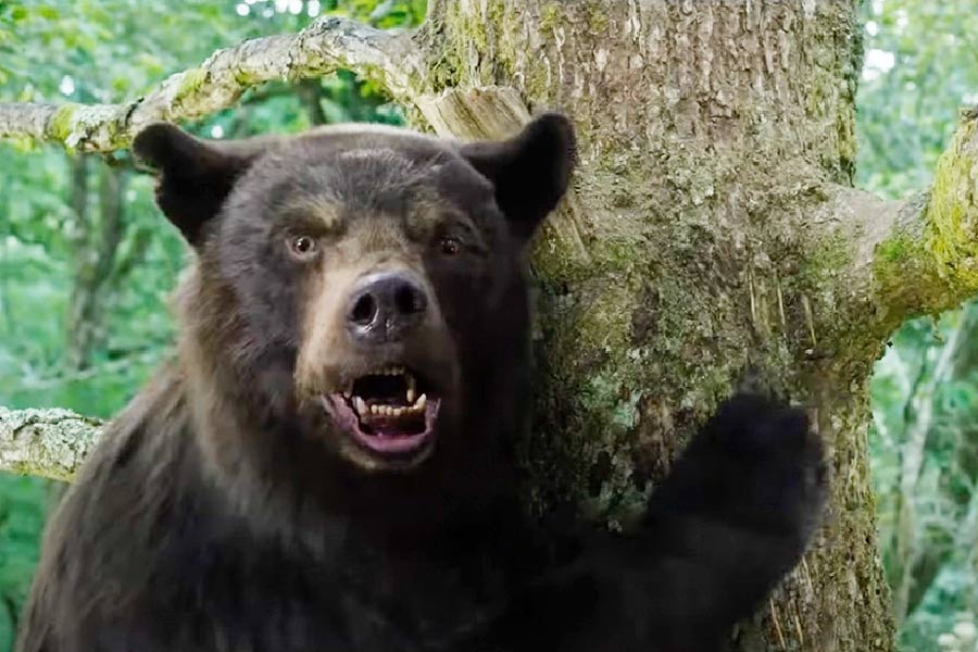 দু’জনকে নিয়েই রয়েছে কিংবদন্তি। মেক্সিকোর পাবলো মাদকের বেআইনি ব্যবসা-সহ আরও নানা বেআইনি কাজের দৌলতে শিরোনামে এসেছিলেন। তাঁকে নিয়ে হলিউডে তৈরি হয়েছে সিনেমাও। জর্জিয়ার পাবলোর কীর্তিও লোকের মুখে মুখে ফেরে। জর্জিয়ার মিউজিয়ামে একটি মূর্তি রয়েছে তাঁর। আবার তাঁকে নিয়েও সিনেমা বানিয়েছে হলিউড। 