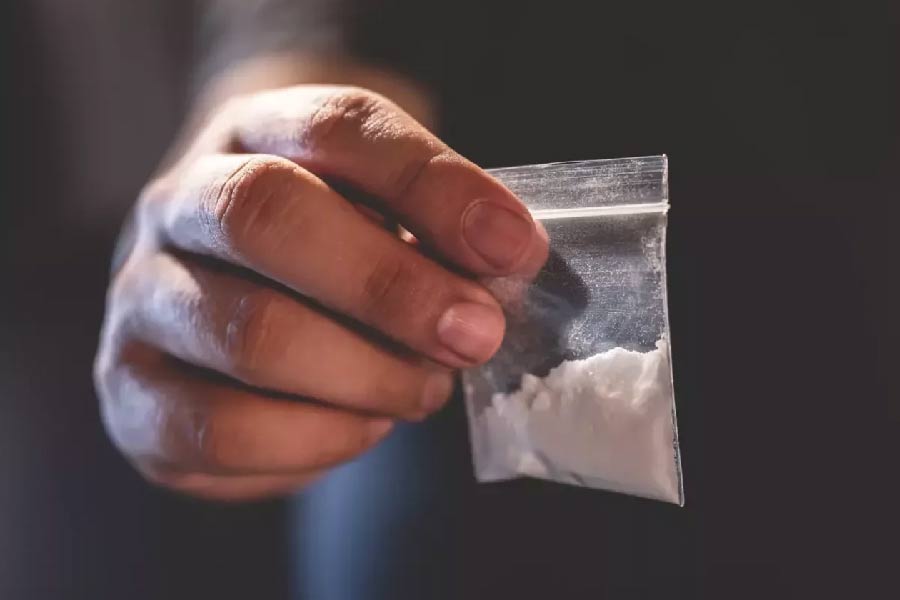 কোকেন পাচারের সঙ্গে যুক্ত ছিলেন মেক্সিকোর মাদক মাফিয়া পাবলো এসকোবার। জর্জিয়ার ভালুকটিরও কোকেন যোগ রয়েছে। বস্তুত এই কোকেন যোগের দৌলতেই জর্জিয়ার এসকো-বিয়ারের একটি দ্বিতীয় নামও রয়েছে— ‘কোকেন বিয়ার’।