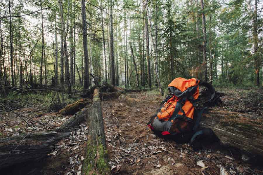 অ্যান্ড্রুর দায়িত্ব ছিল জঙ্গলে ১০টি মাদক ভর্তি ব্যাগ ছুড়ে ফেলা। যে ব্যাগ পরে জঙ্গল থেকেই সংগ্রহ করবেন দায়িত্বপ্রাপ্তরা। কিন্তু ৯টি ব্যাগ ফেলে ১০ নম্বর ব্যাগটি ফেলার সময়েই বাধে গোলমাল। 