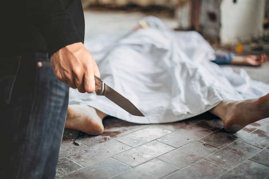 শ্রদ্ধা ওয়ালকর হত্যাকাণ্ড সামনে আসার এক মাস যেতে না যেতেই আবার এক নৃশংসতার ঘটনা নয়াদিল্লিতে। ছুরি নিয়ে একত্রবাসে (লি‌ভ-ইন) থাকা প্রেমিকার মুখ ফালা ফালা করে তাঁর গলা কেটে খুনের অভিযোগ উঠল এক ব্যক্তির বিরুদ্ধে। 