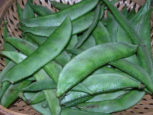 ক্যালশিয়াম, আয়রন, ম্যাগনেশিয়াম, ফসফরাস, পটাশিয়াম এবং জিঙ্কের মতো বহু খনিজে ভরপুর শিম।