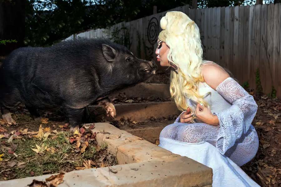 বছর সাতেক আগে প্রথম শূকরছানাটি কেনেন মডেল। 