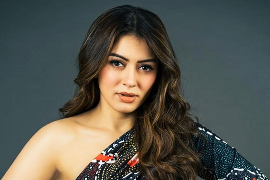 আংটিবদলের ছবি প্রকাশ্যে আসতেই হংসিকা-সোহেলকে নিয়ে বলিপাড়ায় চর্চা শুরু হয়ে যায়। ২০২০ সালে হংসিকার সঙ্গে হাত মিলিয়ে সোহেল একটি অনুষ্ঠান আয়োজনকারী সংস্থার প্রতিষ্ঠা করেছিলেন। কিন্তু তাঁদের আলাপ বহু দিনের। সোহেলের প্রথম বিয়েতেও উপস্থিত ছিলেন হংসিকা।