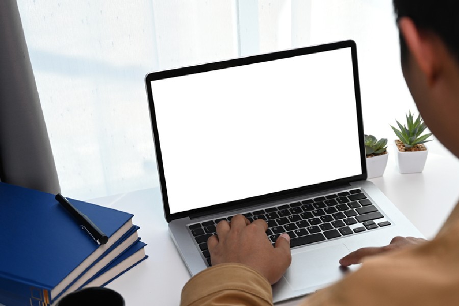 আপনার মনে হতেই পারে যে বিনা পরিশ্রমে মাইনে পেতে সমস্যা কোথায়? 