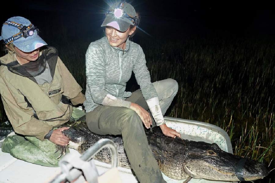 এক দিকে মডেলিং, অন্য দিকে বিজ্ঞান— দুই সম্পূর্ণ ভিন্ন ঘরানার কাজ এক সঙ্গে কী ভাবে সামলান? রোজ়ি জানিয়েছেন দু’টি কাজই তাঁর ভাল লাগে। তবে বিজ্ঞানেই তিনি বেশি স্বচ্ছন্দ।