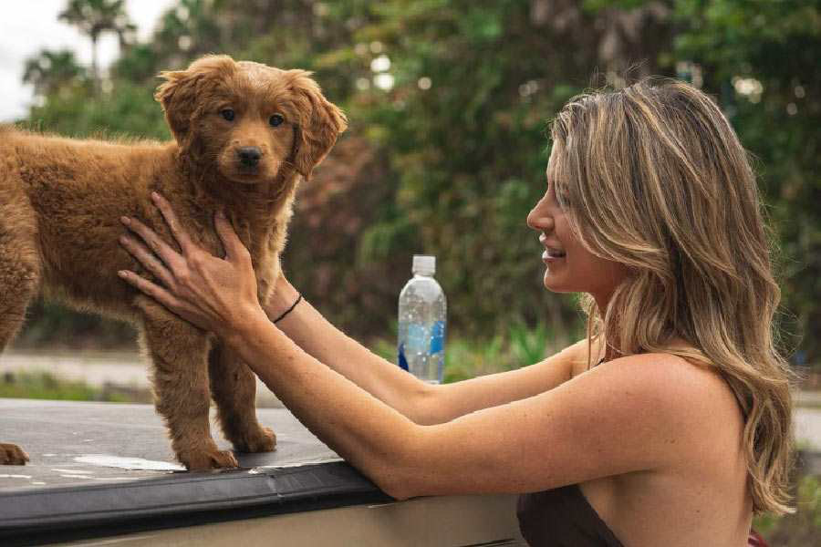 ফ্লোরিডায় এসে ফ্লোরিডা আটলান্টিক বিশ্ববিদ্যালয়ে পরিবেশবিদ্যা নিয়ে পড়াশোনা করেন রোজ়ি। এর পর পড়েন ভূবিজ্ঞান। এই সূত্রেই জলসম্পদ, জলজ প্রাণীদের নিয়ে নানা কাজ করতে হয়েছে রোজ়িকে। ধীরে ধীরে সরীসৃপরাই তাঁর প্রিয় হয়ে ওঠে।