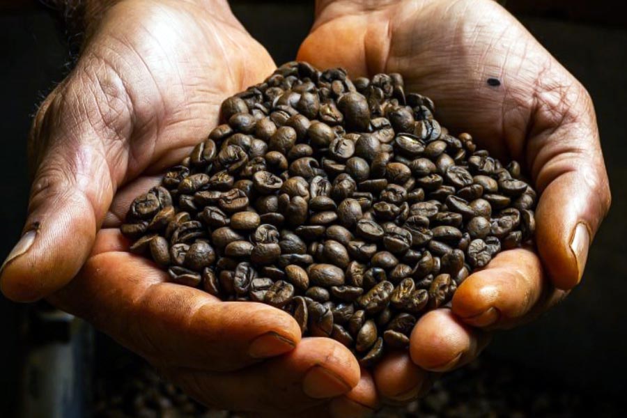 তবে তিরিশের দশকে মহামন্দার কবলে পড়ে ধ্বংস হয়ে গিয়েছিল আমেরিকা তথা বিশ্বের অর্থনীতি। ১৯২৯ থেকে ’৩৯ সাল পর্যন্ত মহামন্দার দাপট চলেছিল। তিরিশের দশকে যার ধাক্কায় বির্পযস্ত হয়েছিল ব্রাজিলের কফি শিল্পও। দুনিয়া জুড়ে কফির দাম হু হু করে পড়তে থাকে। ব্রাজিলের কফি উৎপাদনকারীদের সঙ্গে একের পর এক চুক্তি বাতিল করতে থাকেন বিশ্বের নানা দেশের বিক্রেতারা।