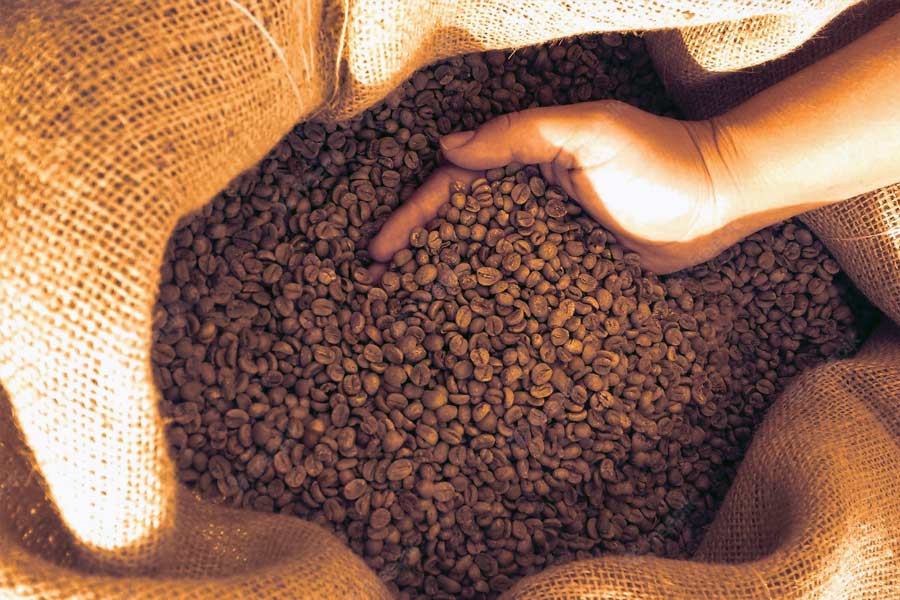 লস অ্যাঞ্জেলসের বন্দরে ২২,০০০ কফির বস্তা বিক্রি করতে পেরেছিলেন ব্রাজিলীয় অ্যাথলিটরা। তবে অর্ধেকের বেশি কফি তখনও অবিক্রিত ছিল। ফলে ২৫ জুলাই অলিম্পিক্স চলাকালীনই সেগুলি বিক্রির জন্য সান ফ্রান্সিসকোর উদ্দেশে রওনা দিয়েছিল ইটাকুইস।