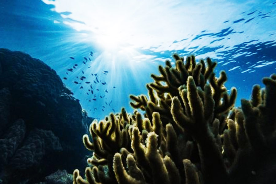  সমুদ্রযান মিশনের অন্যতম লক্ষ্য হল একটি মনুষ্যচালিত ডুবোজাহাজ তৈরি করা, যা তিন জন মানুষকে নিয়ে সমুদ্রের ৬০০০ মিটার গভীরে যেতে পারবে। 