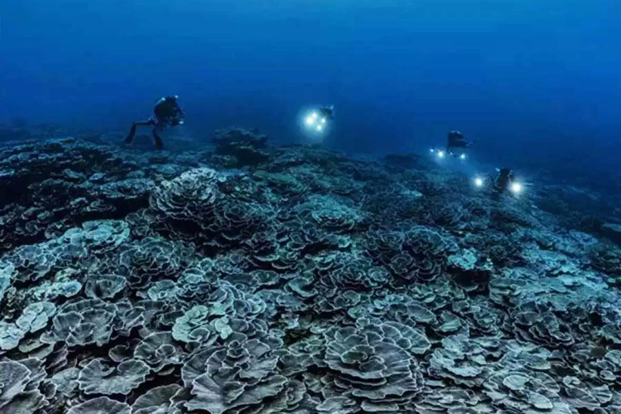 ভারত সরকার এই অভিযানে ৫ বছরের জন্য ৪,০৭৭ কোটি় বরাদ্দ করেছে। 