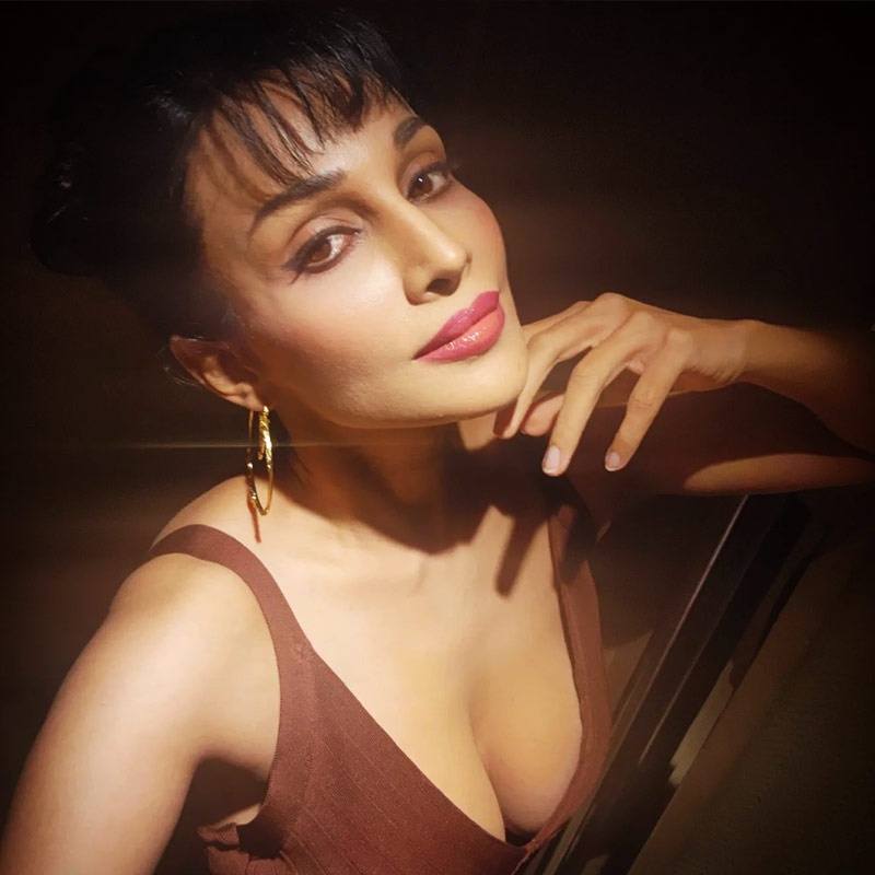 রজনীকান্ত, জগপতি বাবু, রাজাশেখর, সলমন খান, বিদ্যা বালনের মতো নামকরা তারকাদের সঙ্গে একই পর্দায় কাজ করার সুযোগ পেয়েছেন ফ্লোরা।