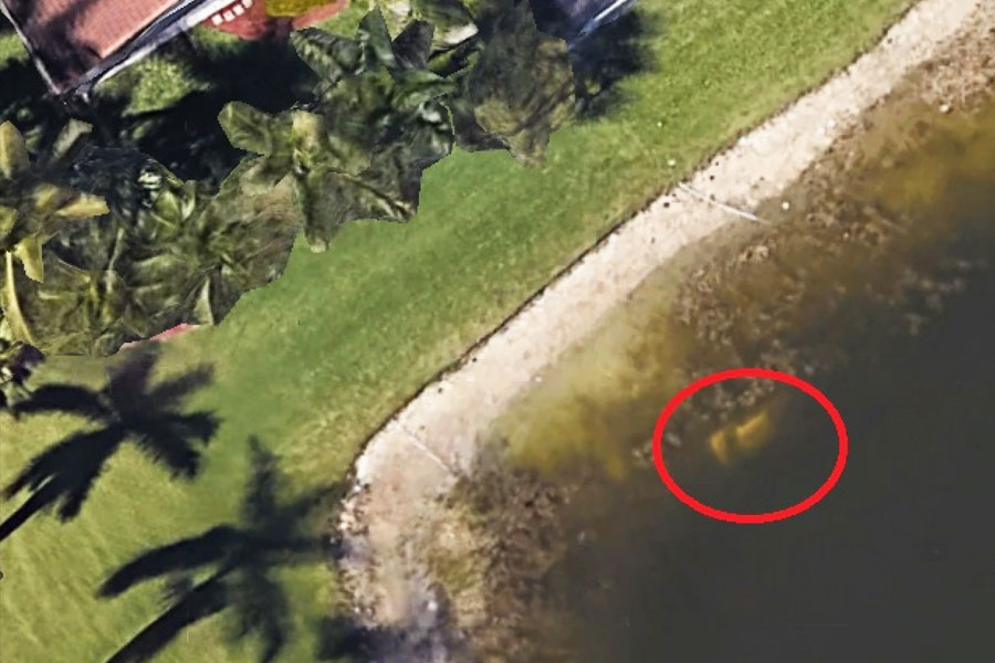 নিরুদ্দেশ হওয়ার ২২ বছর পর ২০১৯ সালে দেহ উদ্ধার হয় উইলিয়ামের। তাঁর হদিস পাওয়া যায় গুগল ম্যাপের উপগ্রহ চিত্রের মাধ্যমে।