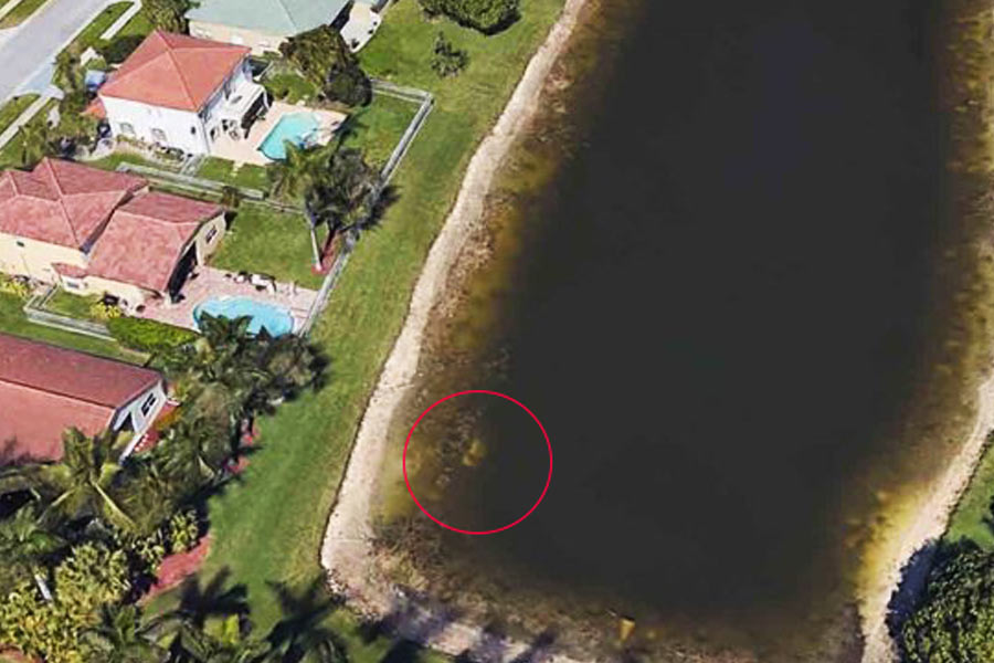 ফ্লোরিডার ওয়েলিংটনের কাছে একটি হ্রদ রয়েছে। তার স্বচ্ছ উপগ্রহ চিত্র ২০০৭ সাল থেকেই গুগলে ছিল। ১২ বছর ধরে এই হ্রদের উপগ্রহ চিত্র সকলের নজর এড়িয়ে গিয়েছিল। কিন্তু জিমের নজর আটকে যায় হ্রদের জলের দিকে। তিনি লক্ষ করেন, জলের তলায় একটি গাড়ি ডুবে রয়েছে। তৎক্ষণাৎ পুলিশকে খবর দেন তিনি।