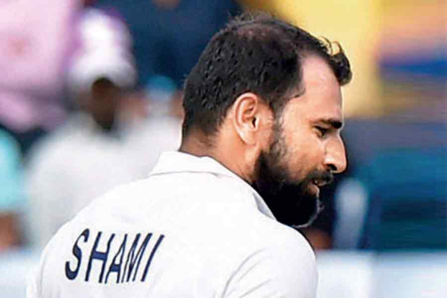 picture of Mohammed Shami