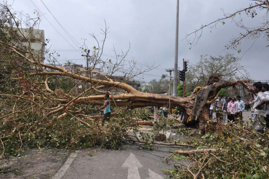 গাছ কেটে রাস্তা পরিষ্কারের কাজ শুরু হয়েছে। মমল্লপুরমে উপকূলবর্তী বাড়িগুলির ছাদ ভেঙে গিয়েছে। কোভালাম এবং মমল্লপুরমে বহু নৌকা ভেঙে গিয়েছে।  