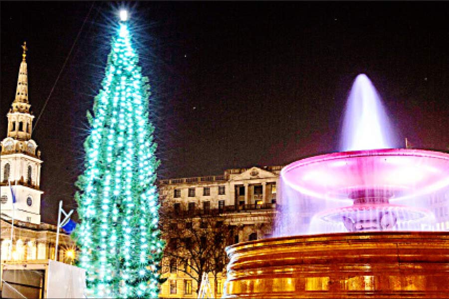 উৎসব: ট্রাফালগার স্কোয়ারে আলো দিয়ে সাজানো হয়েছে ক্রিসমাস ট্রি।