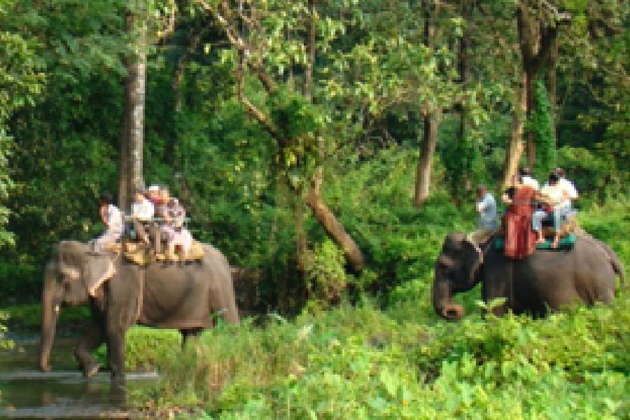 অ্যাডভেঞ্চার পছন্দ করেন? আপনাদের জন্য আদর্শ জায়গা চিলাপাতা। 