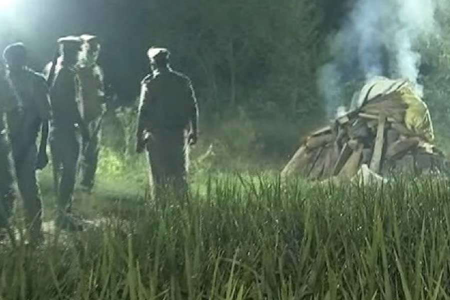 নির্ভয়াকাণ্ডই শুধু নয়, ২০২০ সালে উত্তরপ্রদেশের হাথরসে ১৯ বছরের তরুণীকে গণধর্ষণ ও খুনের অভিযোগের মামলাতেও লড়ছেন সীমা। যখনই সমাজে নারীদের উপর নির্মম অত্যাচার হয়েছে, তখনই আইনি লড়াইয়ে এগিয়ে এসেছেন আইনজীবী সীমা। 