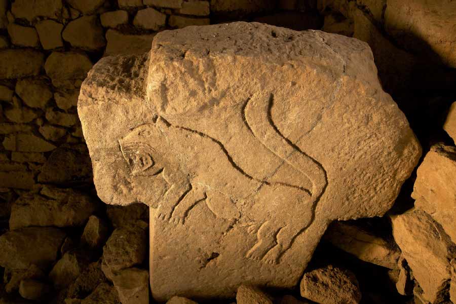 হাজার হাজার বছর আগে হিংস্র জন্তুদের আক্রমণে মানবজাতি কী ভাবে আত্মরক্ষা করত, তার আভাস পাওয়া গিয়েছে ওই শিল্পকর্মে। 