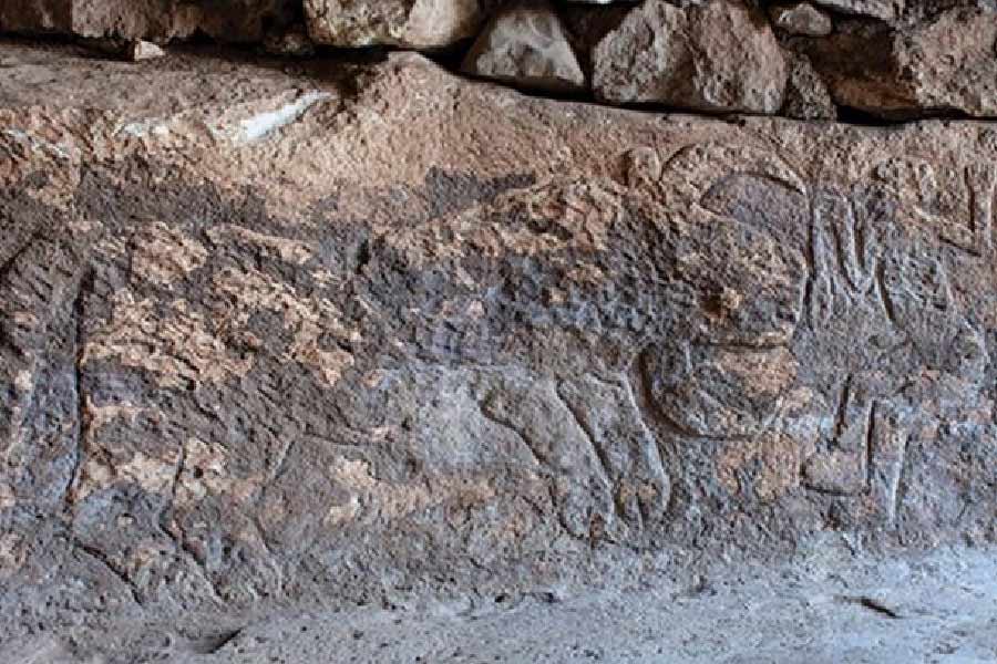 অন্য একটি শিল্পকর্মে তুলে ধরা হয়েছে এক ব্যক্তি ও ষাঁড়কে। সেখানে দেখা গিয়েছে, এক ব্যক্তির দিকে তেড়ে গিয়েছে একটি ষাঁড়। আক্রমণের জেরে যেন লাফিয়ে উঠেছেন ওই ব্যক্তি। তাঁর এক হাতে রয়েছে সাপ। 