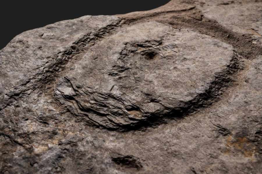 এই শিল্পকর্মের মাধ্যমে যে কাহিনি বর্ণনা করা হয়েছে, তা সবচেয়ে পুরনো বলে দাবি করা হয়েছে। আদ্যিকালে মানুষ ও জন্তুদের মধ্যে মিথষ্ক্রিয়া কেমন ছিল, তাই-ই তুলে ধরা হয়েছে শিল্পকর্মে। 