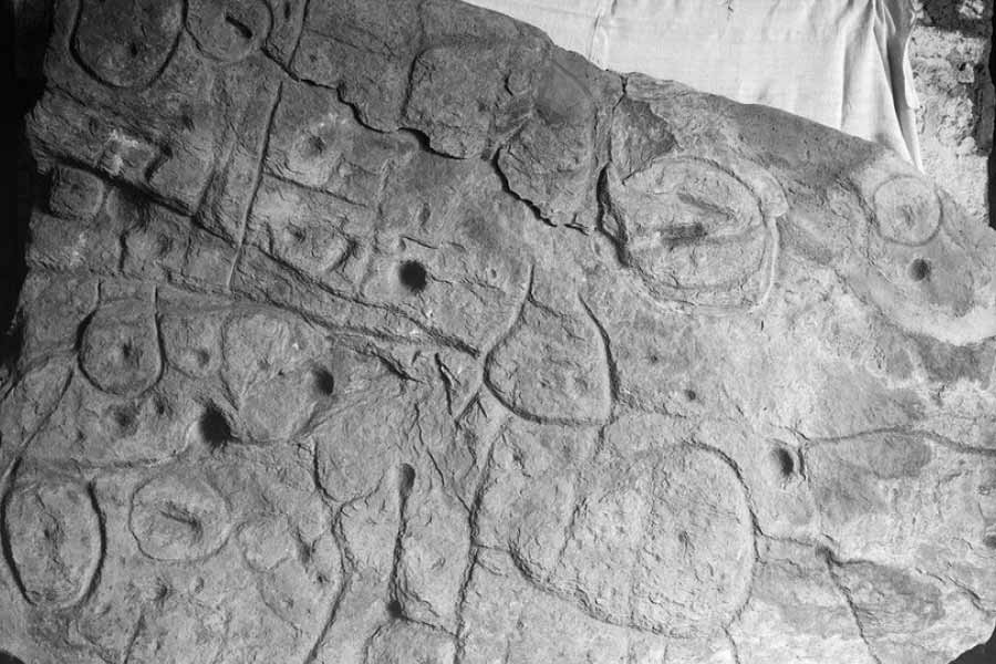 ওই এলাকায় আরও খননকার্য চালালে আরও প্রত্নতাত্ত্বিক নিদর্শন পাওয়া যেতে পারে বলে ধারণা গবেষকদের। নিওলিথিক যুগের নানা অজানা কাহিনিও জানা যেতে পারে বলে মনে করছেন প্রত্নতত্ত্ববিদরা।