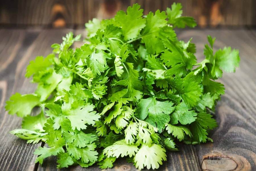 সামান্য ধনেপাতা কুচি ছড়িয়ে দিলেই রান্নায় এক অন্য মাত্রা যোগ হয়।