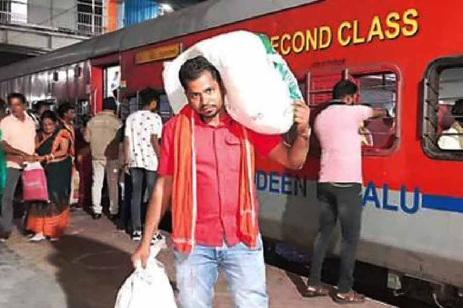 তিনি কলেজের লেকচারার, আবার তিনি কুলিও। অনেকেই একের বেশি পেশার সঙ্গে যুক্ত থাকেন। কিন্তু নাগেশু পাত্রের কাহিনি অন্য কথা বলে। ছবি: সংগৃহীত।