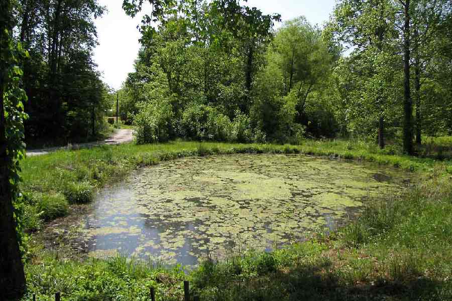 এই অবস্থায় নৌকো ওই মানুষটির বর্জ্যে প্রায় ভরে গেলে নৌকোটির উপরের ঢাকা সরিয়ে সেটিকে ভাসিয়ে দেওয়া হত বদ্ধ জলাশয়ে। কয়েক দিনের মধ্যে মানুষটি মানসিক অবনতি হতে শুরু করত। বর্জ্যের কুণ্ডে পড়ে থাকা শরীরেও পচন ধরে যেত। অচেতন হতে শুরু করত মস্তিষ্ক। তার পর হত মৃত্যু। 