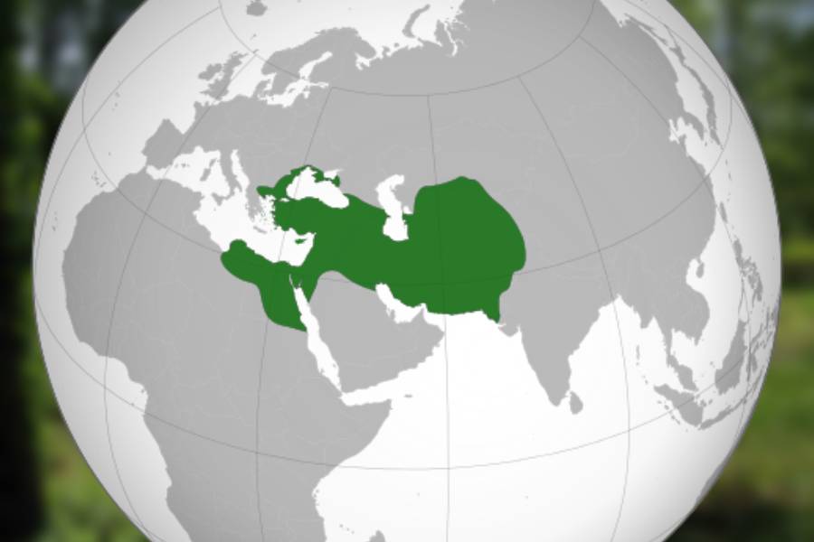 ওই বিপুল সাম্রাজ্যের নাম ছিল আর্কিমিডিয়ান সাম্রাজ্য। যার রাজার রাজা ছিলেন আর্সিস। এই আর্সিস নিজের ভাইয়ের অকালমৃত্যুর পর তাঁর হত্যাকারীর উপরেই এই শাস্তি প্রয়োগ করেন।