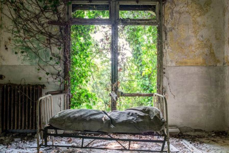 এখনও ওই হাসপাতালের ধ্বংসাবশেষ দ্বীপে রয়েছে। হাসপাতালে মানসিক রোগীদের থাকার প্রমাণও স্পষ্ট ভাবে দেখা যায়। কিন্তু ওই দ্বীপ এখন গাছগাছড়াতে ভরে গিয়েছে। পরিত্যক্ত হয়ে দাঁড়িয়ে আছে হাসপাতালের ভাঙাচোরা ভবন।