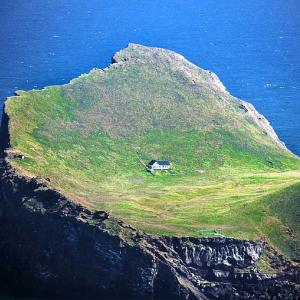 পাফিন দু’ধরনের হয়। টাফ্টেড পাফিন আর হর্নড পাফিন। উত্তর প্রশান্ত মহাসাগরে এদের পাওয়া যায়।     