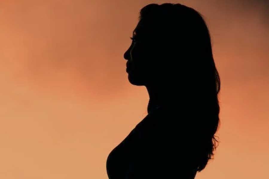 আইএফএস অফিসার হিসাবে কাজ করার সুবাদে বেশির ভাগ সময় বিদেশেই কাটাতে হত আকবর খলিলিকে। কাজ করেছেন অস্ট্রেলিয়া এবং ইরানে ভারতের হাইকমিশনার হিসাবে। স্বামীর বদলির চাকরি হওয়ায় প্রথম প্রথম তাঁর সঙ্গে বিদেশেই থাকতেন শাকিরা। তাঁদের চার মেয়ে— সাবা, এজমেথ, হরেহানা এবং জিবুন্দা। প্রতীকী ছবি।