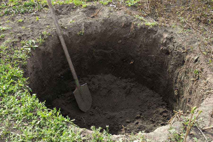 পরিকল্পনা মতো শাকিরাকে চায়ের সঙ্গে ঘুমের ওষুধ মিশিয়ে দেন শ্রদ্ধানন্দ। তিনি অচৈতন্য হয়ে পড়লে রিচমন্ড রোডের বাড়িতে নিয়ে আসেন তিনি। আগে থেকে বানানো কাঠের বাক্সে শাকিরার দেহ ভরে বন্ধ করে দেন। বাড়ির পিছনে বানানো বড় গর্ততে সেই কাঠের বাক্স ফেলে মাটি চাপা দিয়ে দেন শ্রদ্ধানন্দ। দমবন্ধ হয়ে মৃত্যু হয় তাঁর। প্রতীকী ছবি।