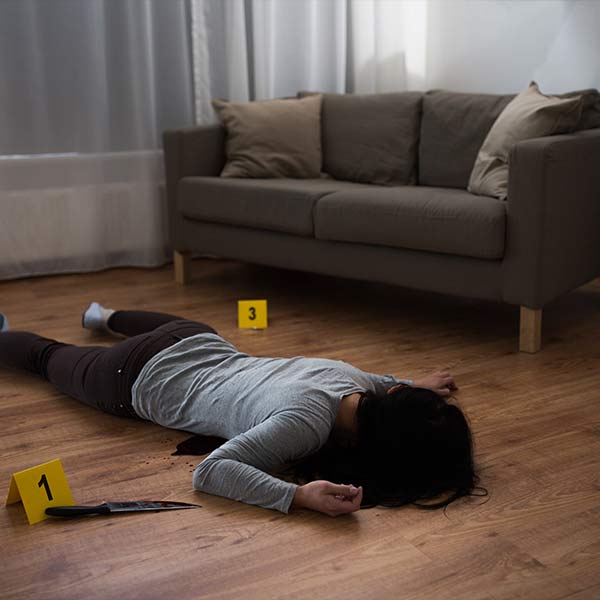 ডেভিড এ-ও স্বীকার করেন যে, তিনি একটি জাপানি ছুরি দিয়ে ক্যারলের গলা কেটে ফেলেন।