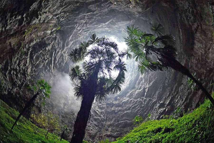 চিনে এমন একটি সিঙ্কহোলের ভিতরে রয়েছে একটি বিশাল অরণ্য।