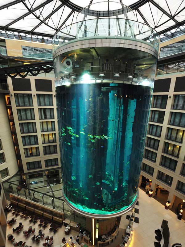 বিশ্বের বৃহত্তম ‘সিলিন্ড্রিক্যাল অ্যাকোয়ারিয়াম’ এটি। অন্তত ১০০ রকম বিরল প্রজাতির মাছ থাকত এখানে। কোন কোন জায়গা থেকে যে সে সব আনা হত!