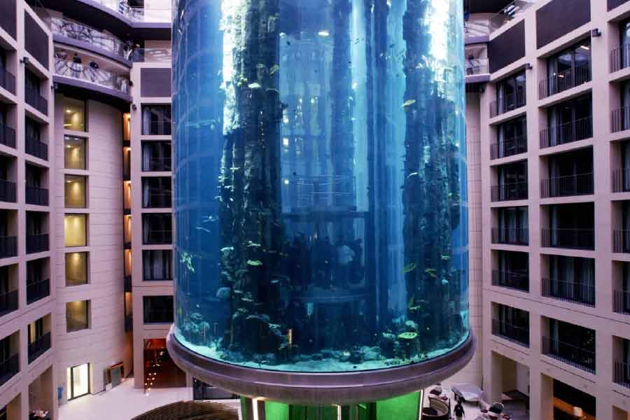 ২০১৯ সাল থেকে এই অ্যাকোয়ারিয়াম-দর্শন বন্ধ ছিল। সংস্কারের কাজ হচ্ছিল ৩ বছরের বেশি সময় ধরে। কিন্তু ১৮ মাস পর অ্যাকোয়ারিয়াম খুলতেই বিপত্তি। সব ভেসে গেল। বিপুল ক্ষতির মুখে ওই হোটেল কর্তৃপক্ষ। 