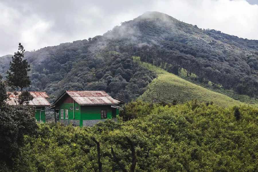 লংওয়া গ্রামে রয়েছে অনন্য প্রাকৃতিক সৌন্দর্য। চারদিকে সবুজের সমারোহ। ওই এলাকায় দর্শনীয় স্থানগুলির মধ্যে রয়েছে ডোয়াং নদী, নাগাল্যান্ড বিজ্ঞান কেন্দ্র, হংকং মার্কেট, শিলোই লেক। 