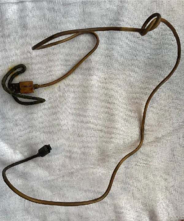 দেখা যায় লম্বায় তারটির দৈর্ঘ্য তিন ফুটেরও বেশি।