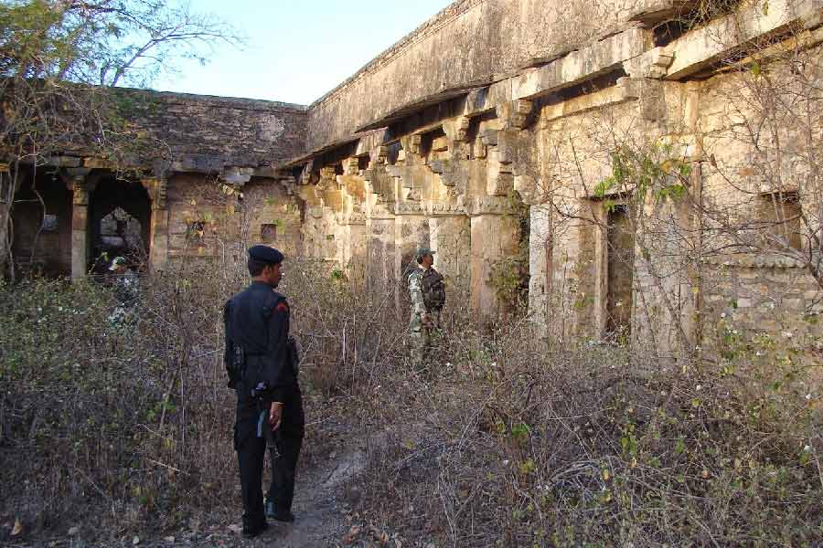 সুরক্ষার জন্য শেরগড় দুর্গে সব রকম আয়োজন থাকত। কিন্তু ইতিহাসবিদেরা জানান, এই দুর্গে থাকাকালীন শের শাহ সুরির উপর মুঘল সেনারা আক্রমণ করেছিলেন।