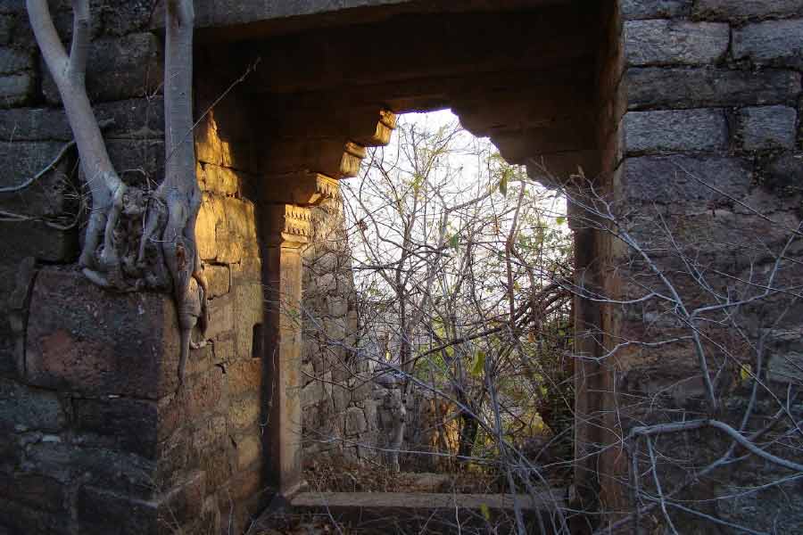 শেরগড় দুর্গে নাকি অমূল্য ধনরত্ন লুকিয়ে রেখেছিলেন শের শাহ সুরি। কিন্তু এখনও পর্যন্ত সেই ভান্ডারের সন্ধান পাননি কেউ-ই।